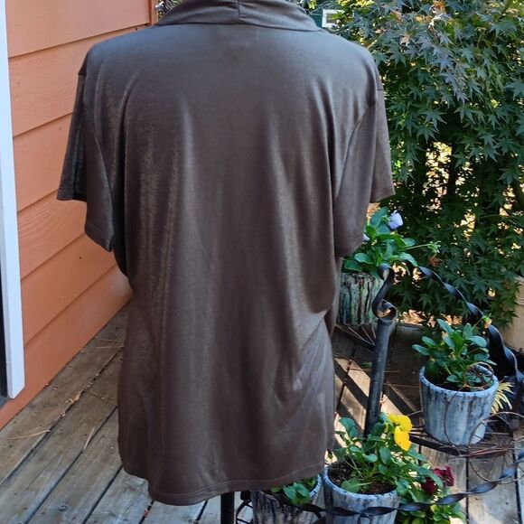 Coldwater Creek  Bronzy Top - Picture 5 of 11